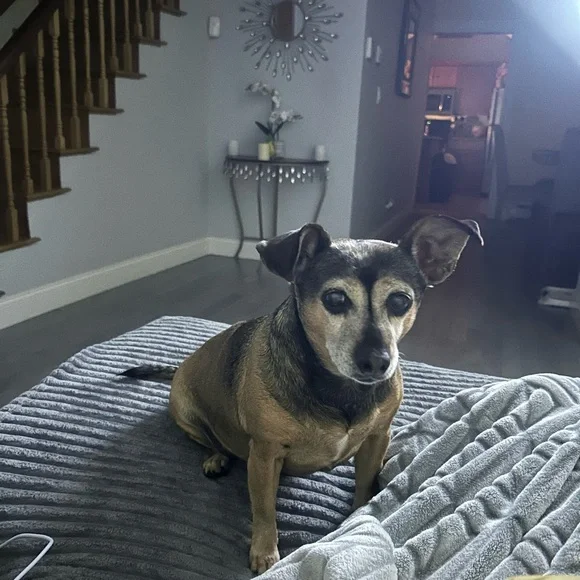 Live Listing, Like Me And Share, You’ll Be Notified When I Go Live, Stay Blessed - Picture 5 of 11